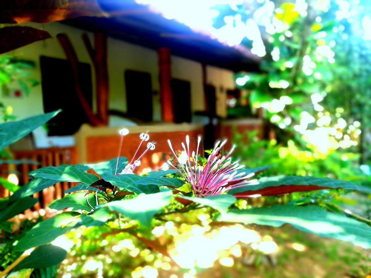 Sisira Homestay - Σιγκιρίγια Εξωτερικό φωτογραφία