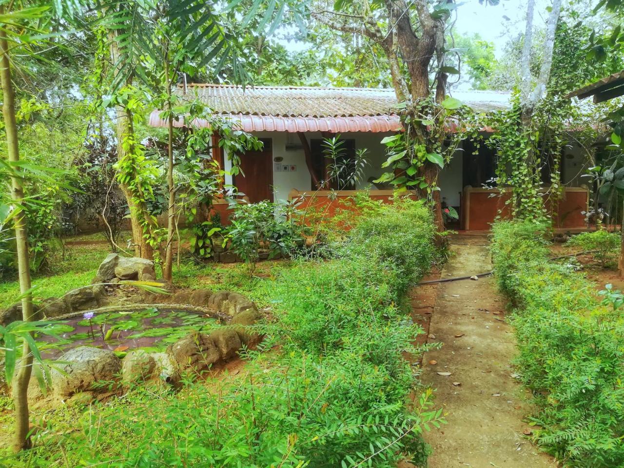 Sisira Homestay - Σιγκιρίγια Εξωτερικό φωτογραφία